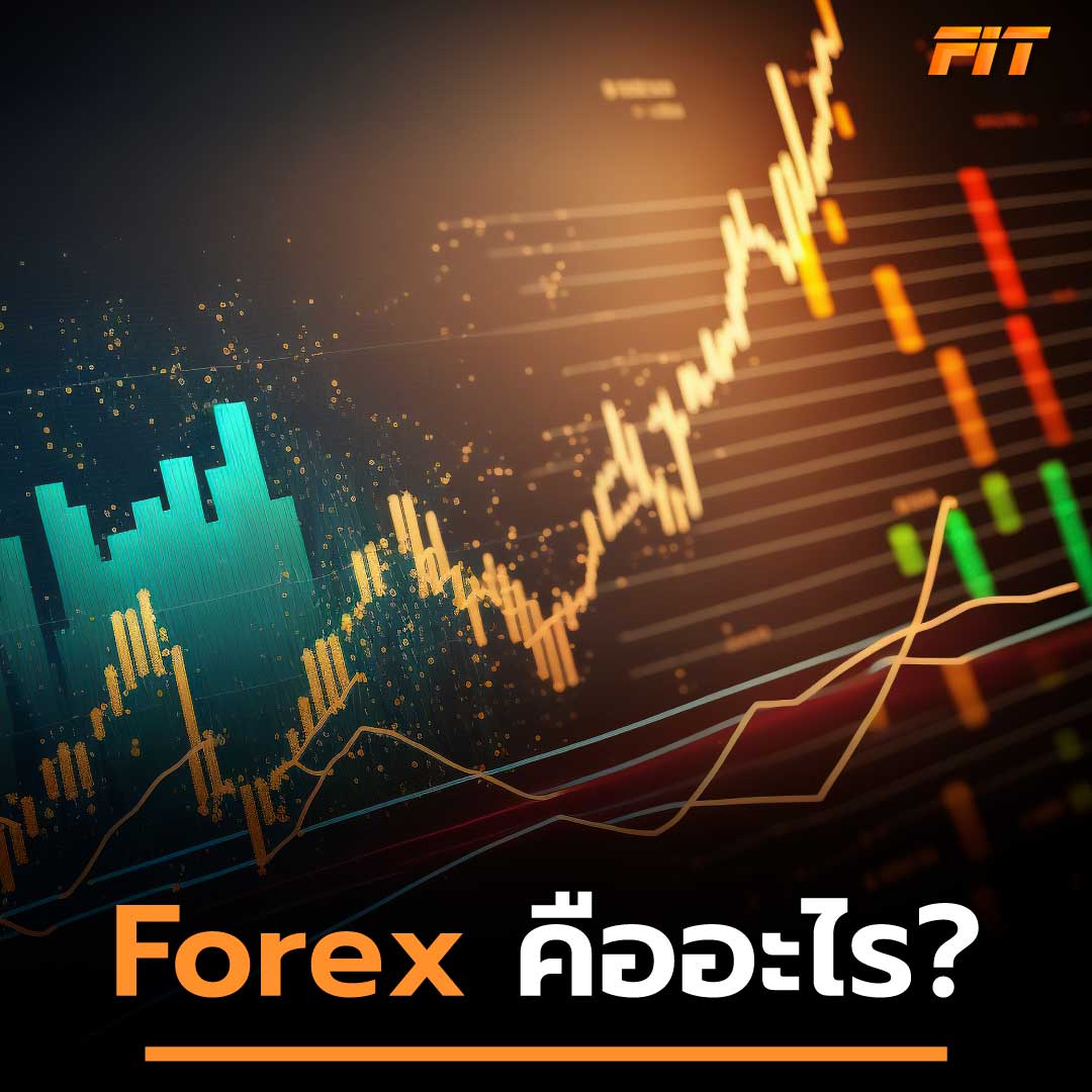Forex คืออะไร ลงทุนง่ายๆ ทำความเข้าใจในการเทรดฟอเร็กซ์